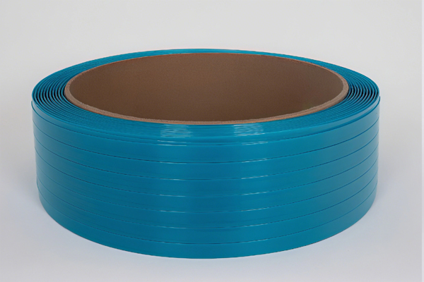 Polyester Pet Strap